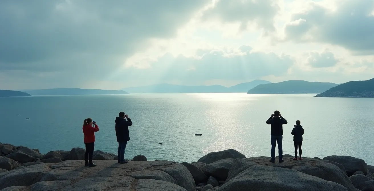 Point de vue panoramique du Cap de Bon-Désir avec observateurs terrestres regardant des bélugas
